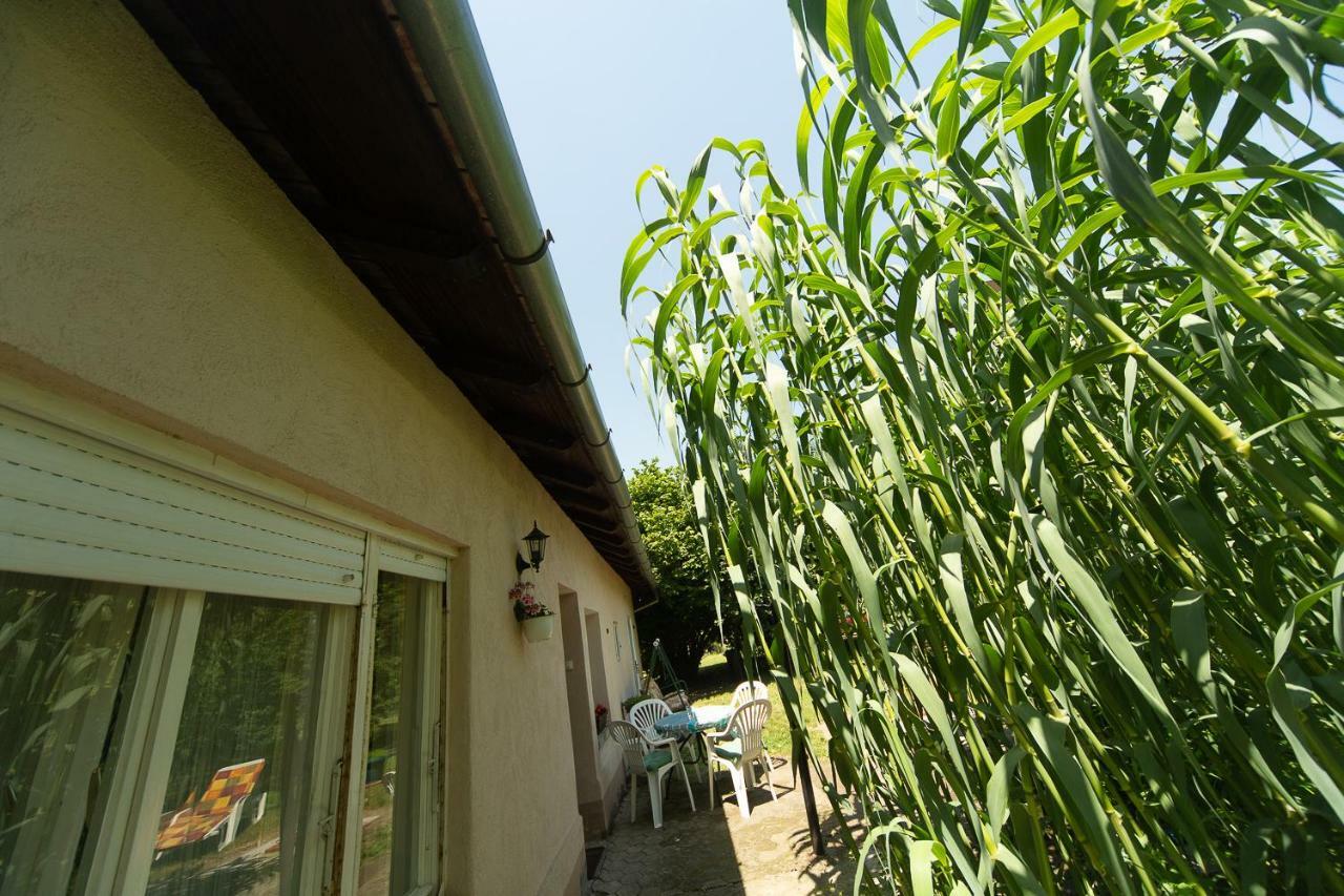 Part Apartman Apartman Palics Kültér fotó