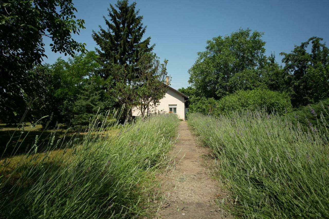 Part Apartman Apartman Palics Kültér fotó